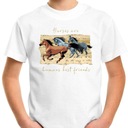 ФУТБОЛКА ДЕТСКАЯ ЛОШАДИ 164 СУПЕР КАЧЕСТВО