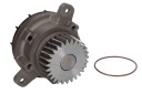 DT SPARE PARTS 2.15244 POMPE À EAU REFROIDISSEMENT MOTEURphoto 9