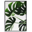 Постер БЕЗ РАМКИ А2 (40х50) ЦВЕТЫ схема 52