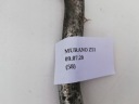 ПРОВІД ТРУБКА КОНДИЦІОНЕРА NISSAN MURANO II Z51  (17819290757) фото min 5