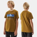 4F ФУТБОЛКА ДЛЯ МАЛЬЧИКОВ, ДЕТСКАЯ ХЛОПКОВАЯ ФУТБОЛКА