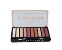 Ushas Eyeshadow 10 farieb Paleta očných tieňov