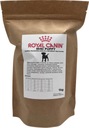 Royal Canin Chicken suché krmivo pre aktívnych psov 8 kg Veľkosť psa malé plemená (<10 kg)