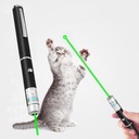 Wielozadaniowy wskaźnik laserowy Długopis Mini Rodzaj czołowa
