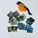 Польские птицы – игра на память.