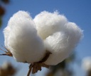 Пижама Moraj Short Zipped Cotton Women's 4900-018 Красный М