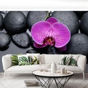 TAPETA DYHA Orchidea Kamene - 208x146 Šírka produktu 208 cm