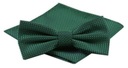 Мужской галстук-бабочка с нагрудным платком Alties - зеленый, мелкий узор