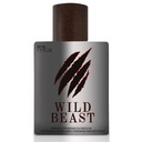 Мужские духи с феромонами Wild Beast 50 мл, привлекающие дам