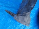 OPEL-CZESCI INSIGNIA A PASSAGE DE ROUE GAUCHE AVANT LIFT 22890915photo 7