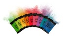 Holi Powder красивые разноцветные порошки Холи для Фестиваля красок НАБОР из 12 шт.