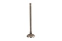SOUPAPE ÉCHAPPEMENT FRECCIA R6561/RNTphoto 1