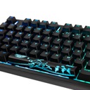 KLAWIATURA GAMINGOWA DUCKY SHINE 7 PBT MX-BLACK Typ klawiatury mechaniczna