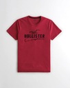 Koszulka męska HOLLISTER t-shirt Abercrombie USA M Wzór dominujący logo