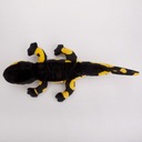 Salamandra čierno-žltá 40 cm Značka Animal4You