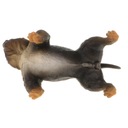 Kreslenie zvierat pes model zvieraťa sochy vzdelávacie hračky pre deti Materiál plast