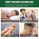 PalinaDetox Foot Patch Pôsobí proti bolesti Stres Účinok iný