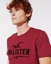 Koszulka męska HOLLISTER t-shirt Abercrombie USA M Model APLIQUE LOGO GRAPHIC TEE