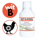 Farmwet WIT B AMINO Комплекс витаминов B + бетаин