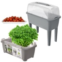 МИНИ-ТЕПЛИЦА ПОРТАТИВНАЯ ТЕПЛИЦА Осмотр травяных теплиц