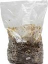 SHIITAKE - grzybnia 3kg uprawa w domu EAN (GTIN) 5903111428150