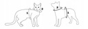 Postroj pre malého psa mačka typu GUARD beztlakový reflexný vodítko ZADARMO S Veľkosť S