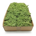 Норвежский мох 500г.