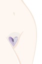Шаблон для бритья сердечек - Инструмент для формирования бикини Ladyshape Heart