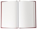 Крашеная хроника В4, 90 страниц, вертикальная – бордовый.