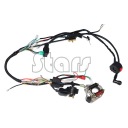 DO НАБОРУ 50 70 90 110CC ATV ЕЛЕКТРИЧНИЙ СТАРТ QUAD  (17840469389) фото min 6