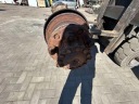 ЗАДНИЙ МОСТ IVECO DAILY IV FLATBED 7176622 3.0L ДИЗЕЛЬ 130KW 2008  фото 9