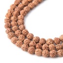 Koralik z nasion Rudraksha naturalny niebarwiony 7mm - 45 szt.