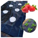 Агротакнин для клубники с отверстиями для сорняков любых метров