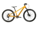 KROSS LEVEL JR 4.0 BIKE 24