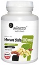Sada Aliness Moruša Biela Medica 500 mg 2x180tab. Chudnutie Cholesterol EAN (GTIN) 5902596935597