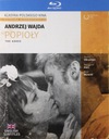 ПЕПЕЛ (BLU-RAY)