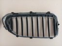 BMW 5 G30 G31 GRILLE CALANDRE RADIATEUR GRILLES AVANTphoto 10
