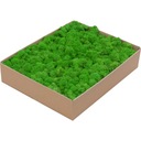 Мох Кработек ПРЕМИУМ Светло-зеленый Картон 1кг