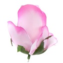 Róża w pąku - główka Pink 12 szt Wysokość maksymalna 9 cm