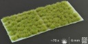 Grass tufts - 6 mm - Dry Green (Wild)
