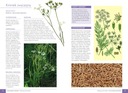 АТЛАС ДИКИХ ЦВЕТОВ 90 растений, кулинарное и лекарственное использование растений