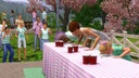 PS3 THE SIMS 3 PL