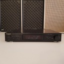 Tuner Technics ST-X302L Sprawny 100%