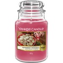 Свеча Peppermint Pinwheels Yankee Candle большая