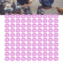 100 SZT. 8MM IDENTYFIKACJA GOLEBI OBRACZKI NA НОГИ ХОМУТИ NA НОГИ DROBIU  фото 12