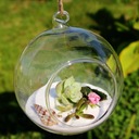 Ozdoba Závesná Vianočná Guľa sklenený prívesok dekorácia 9cm guľa mini záhrada les Farba bezfarebný