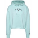 Женская толстовка с логотипом TOMMY JEANS Essential DW0DW14852