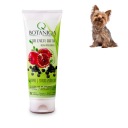 Botaniqa For Ever Bath Шампунь для собак 250 мл