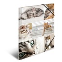 Папка картонная А3 на резинках Кошки