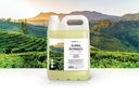 INTAI OLIWKA DO MASAŻU 5000ML NATURALNA GREEN TEA EAN (GTIN) 5906451232333